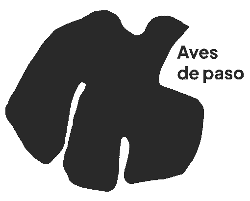 Animación Nube Lab